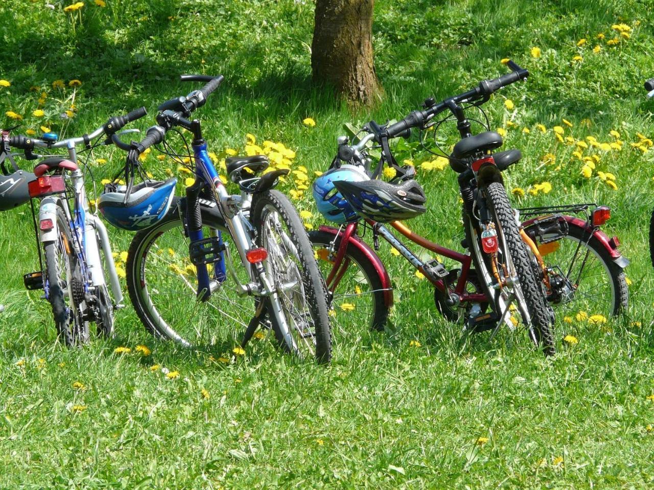 Borgo Carida - Green Family Holidays Zaccanopoli Exteriör bild